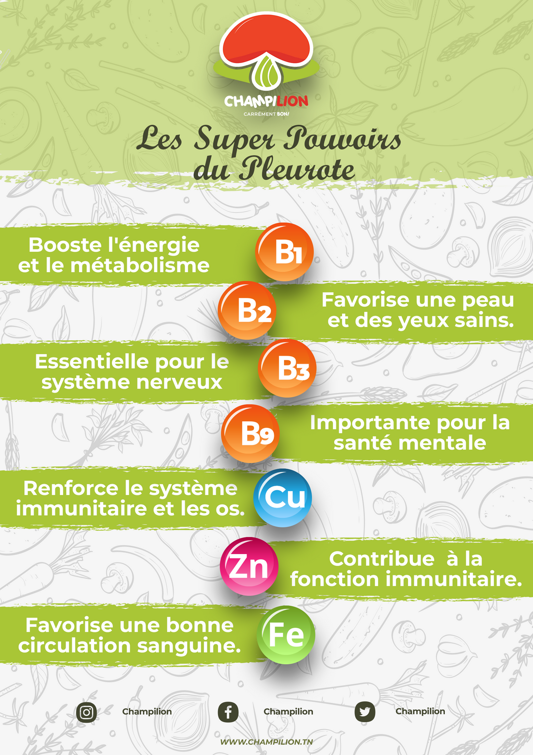 Les bienfaits nutritionnels des champignons : Un guide complet